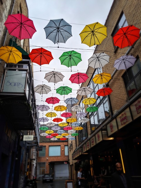 Irlande pour des cours chez le prof faire un séjour linguistique chez le professeur