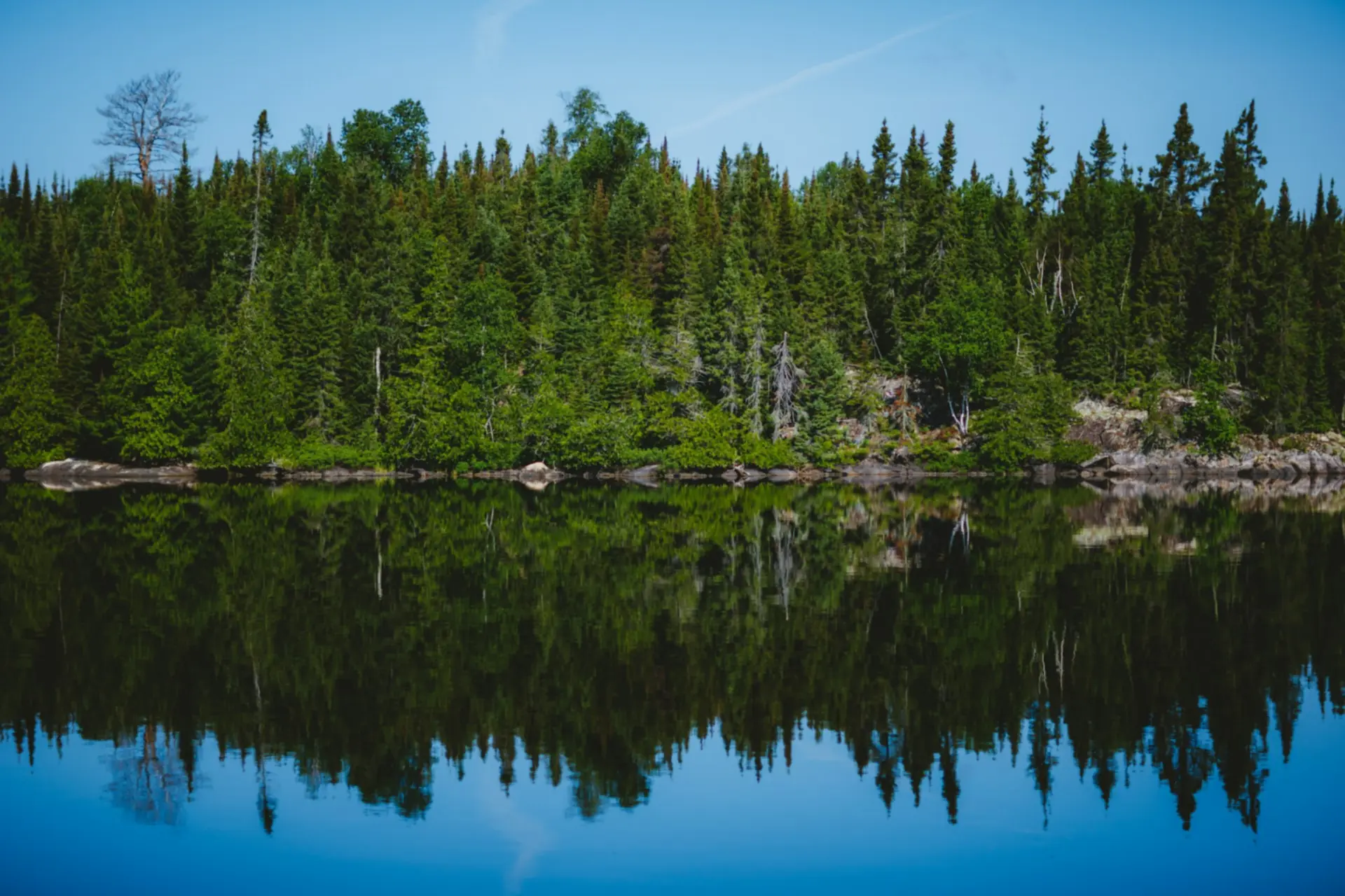 Rustig meer en naaldbos weerspiegeld in het water, Boundary Waters Canoe Area Wilderness, Minnesota — Eden Prairie