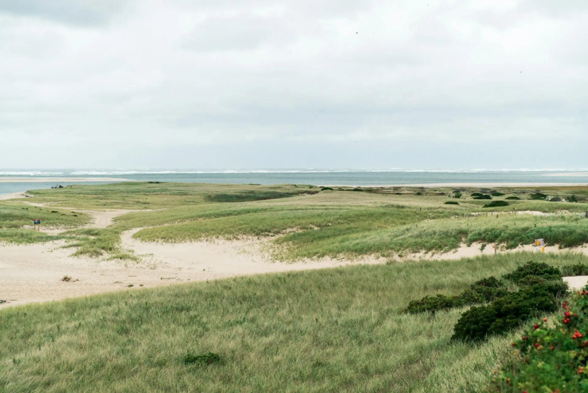 Duinen en helmgras aan de kust van Cape Cod, Massachusetts — Groton-Dunstable