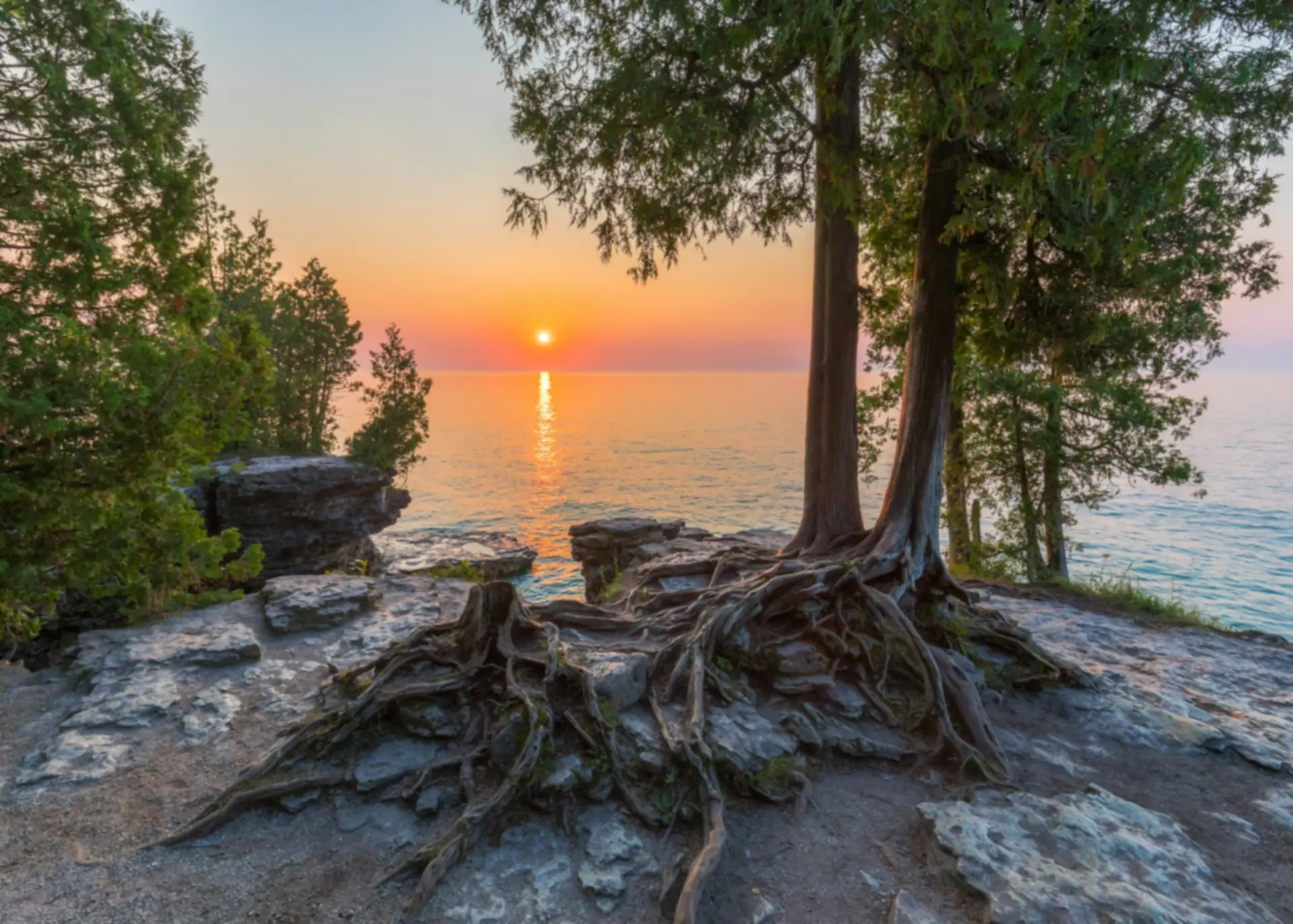 Ceders met blootliggende wortels op een rotsrand tegenover de zonsopgang boven Lake Michigan, Door County, Wisconsin — Green Bay