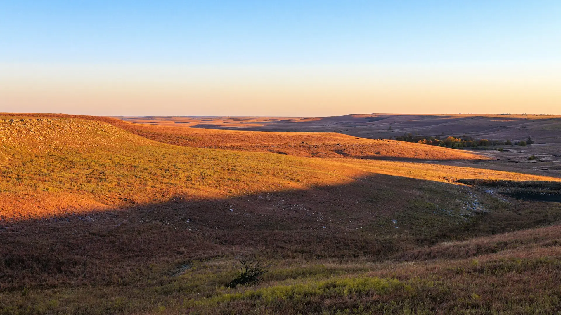 Prairieheuvels in het gouden avondlicht bij Winfield, Kansas