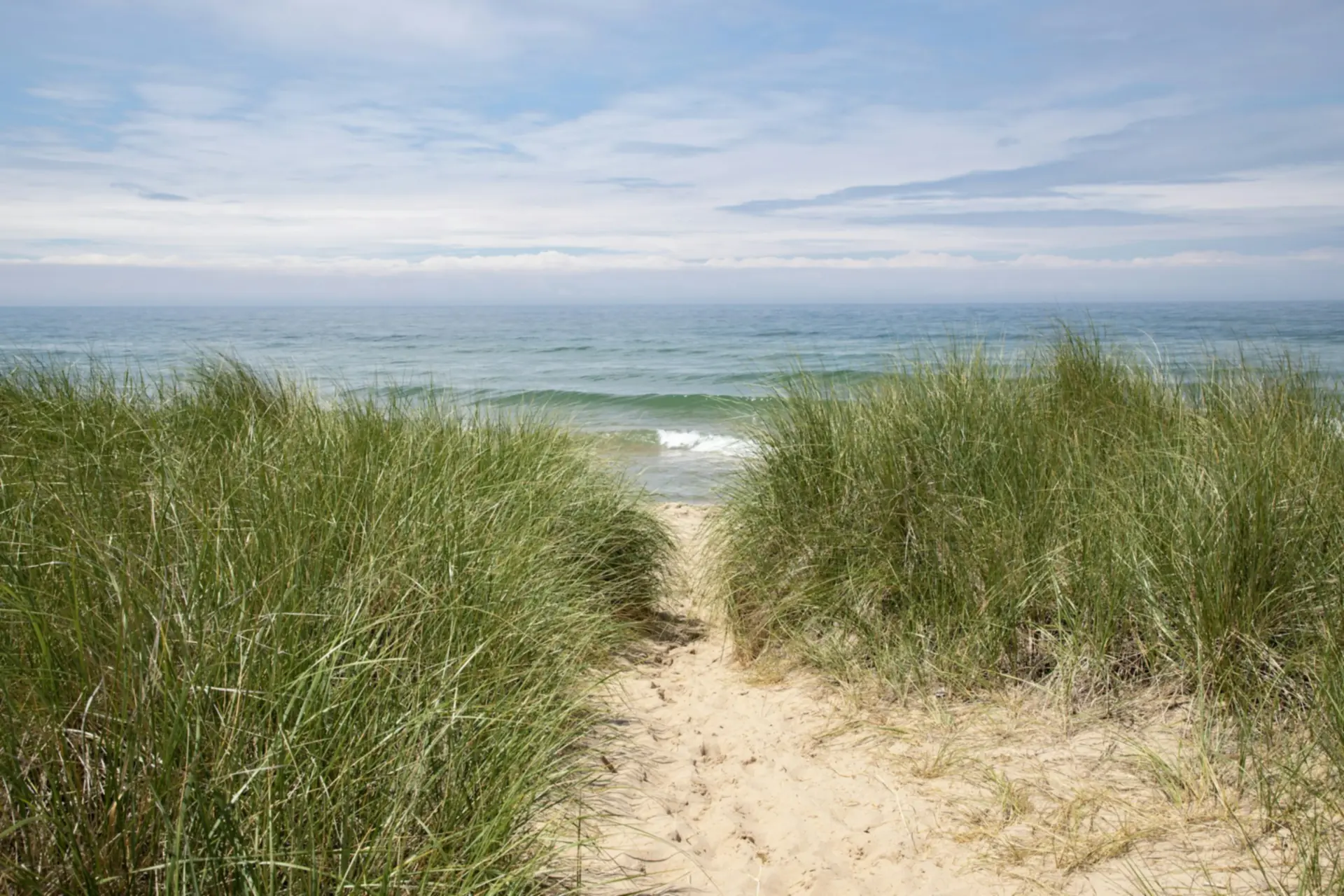 Duinen en oevers van Lake Michigan, Grote Meren — Jenison