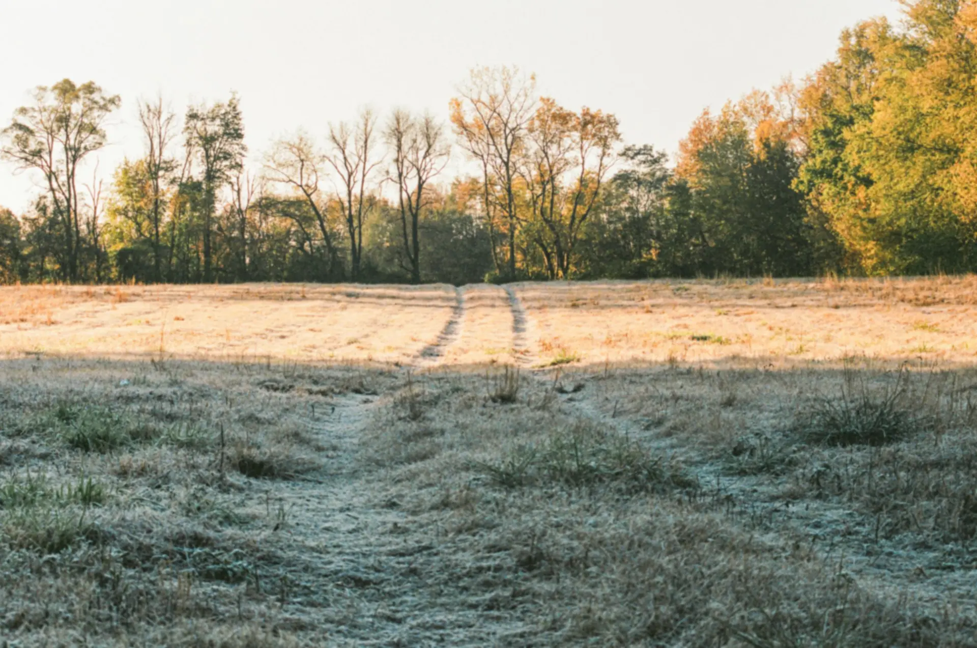 Met rijp bedekte weide bij zonsopgang, omzoomd door bomen in herfstkleuren, in Valparaiso, Indiana — Kokomo