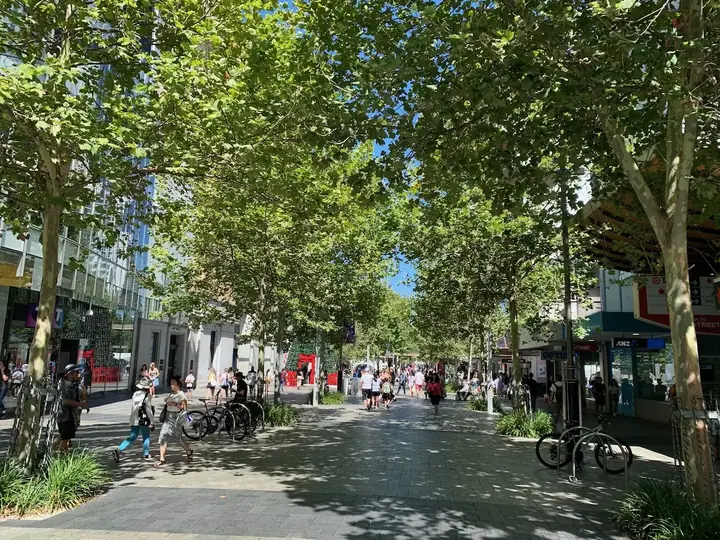 centrum miasta