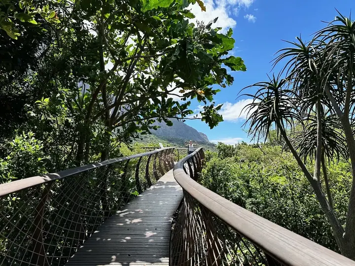 Arredores da Cidade do Cabo