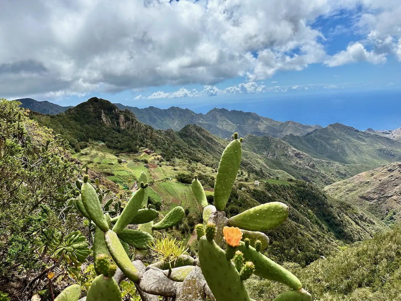 Tenerife