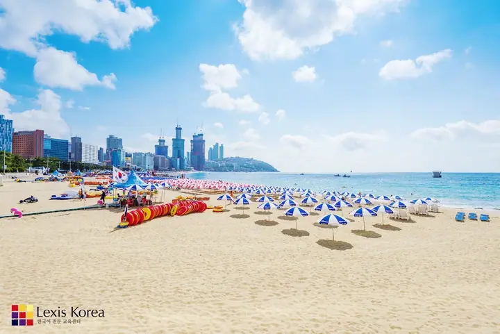 Plaża Busan