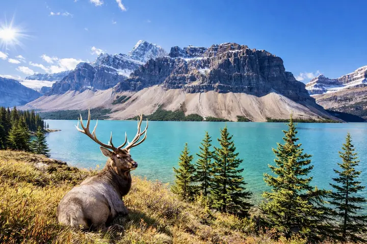 Taalreis voor jongeren naar Canada