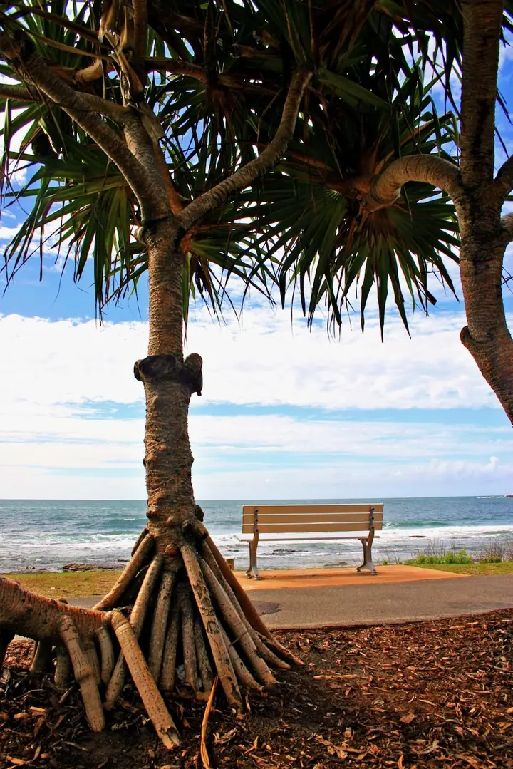 Sunshine Coast 
