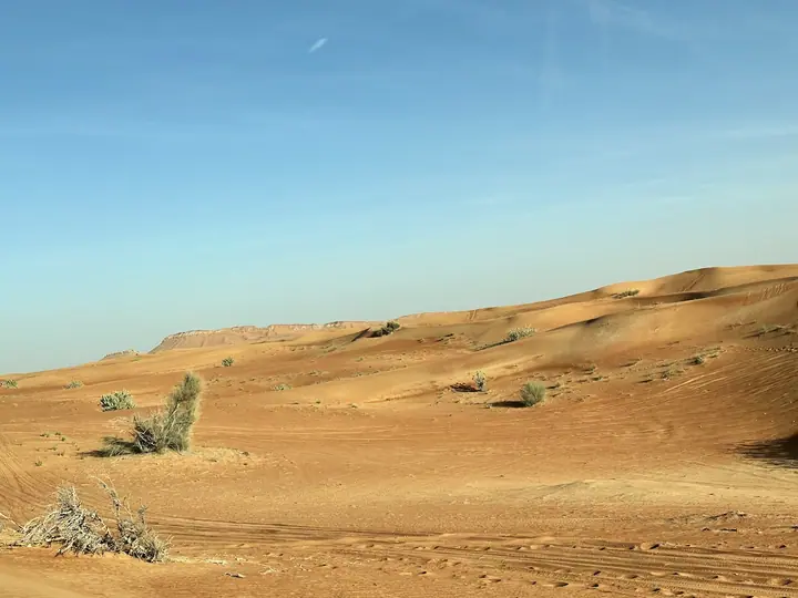 Woestijn van Dubai