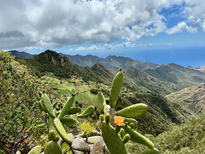 Teneryfa
